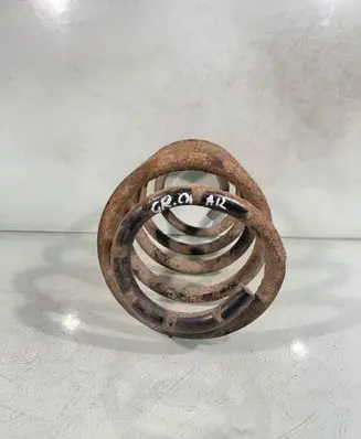Rear coil spring
