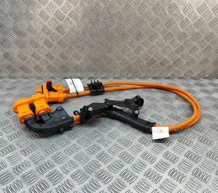 Cupra Born Other wiring loom 1EA971015S
