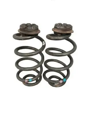Rear coil spring