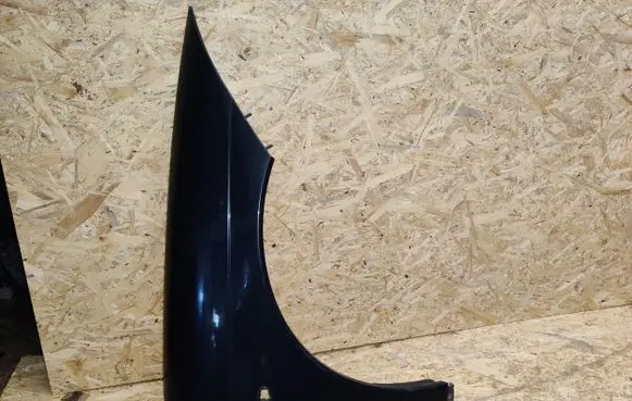 Citroen C6 Fender