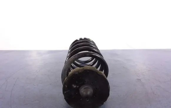 Audi Q5 SQ5 Rear coil spring