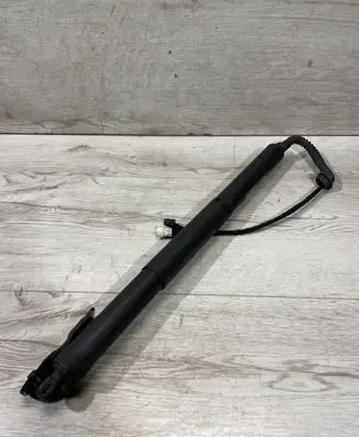 Tailgate strut