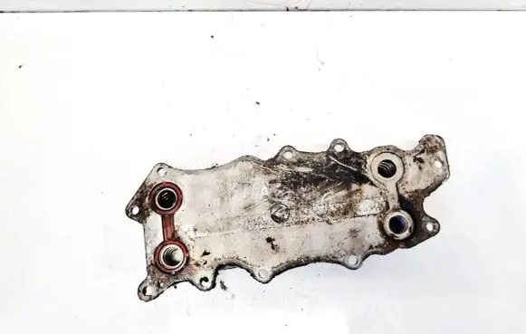 Mercedes-Benz CLS C219 Engine oil radiator 6421800165