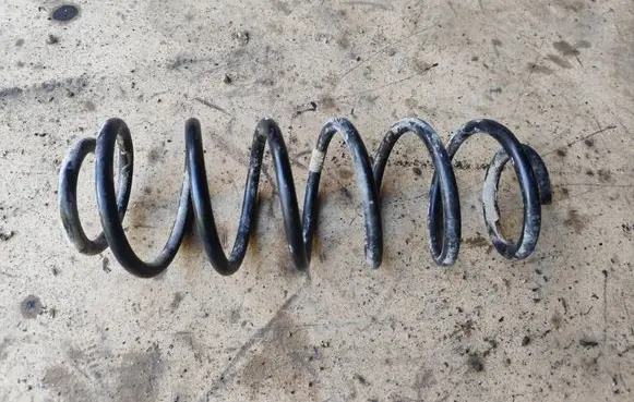 Rear coil spring