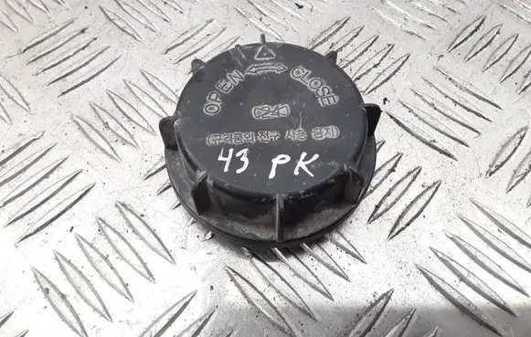 Hyundai Sonata Headlight/headlamp dust cover