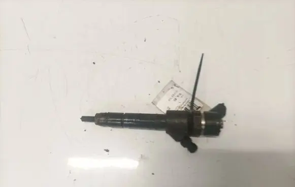 Renault Scenic II - Grand scenic II Fuel injector 0445110230 8200389369