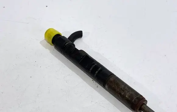 Renault Kangoo II Fuel injectors set 8200815416