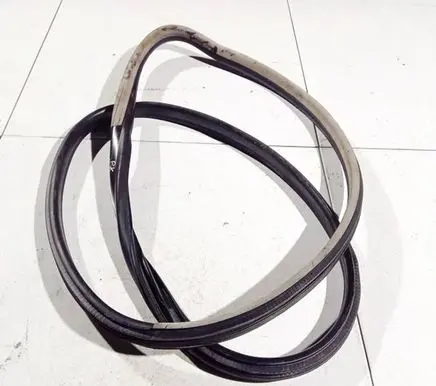 Opel Signum Rubber seal front coupe door 