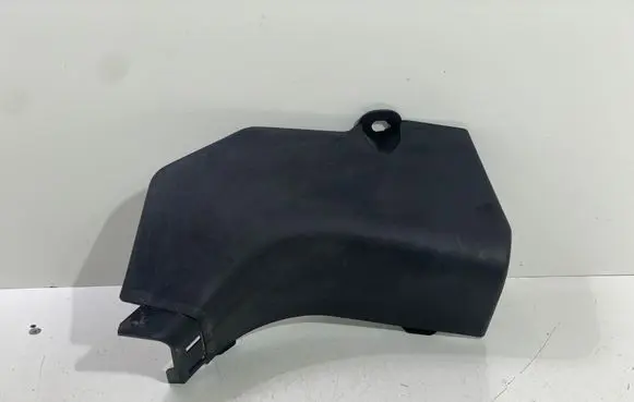 Renault Koleos I Front sill trim cover 66900JY400