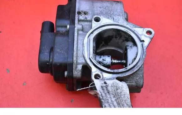 Volkswagen PASSAT B6 EGR valve 03G131501