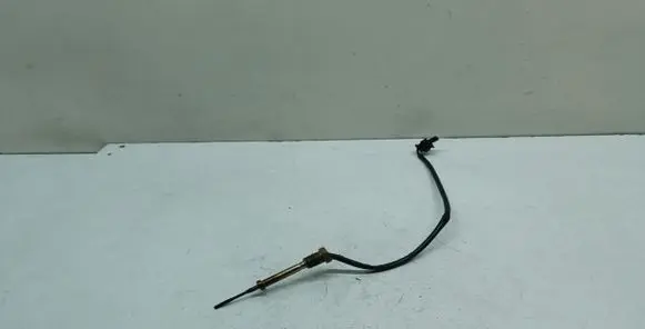 Exhaust gas temperature sensor