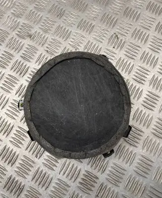 Dodge Durango Front door speaker