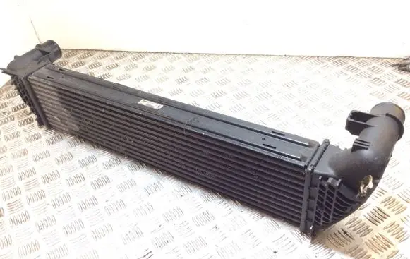 Renault Laguna III Intercooler radiator 8200292773