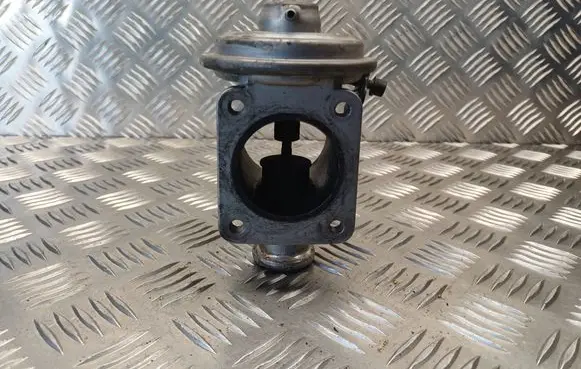 EGR valve