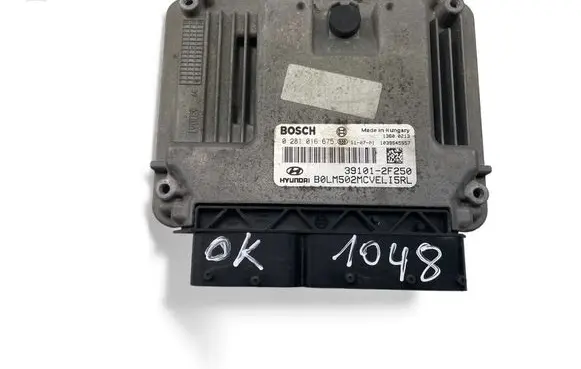 Hyundai ix35 Engine control unit/module ECU 391012F250 0281016675
