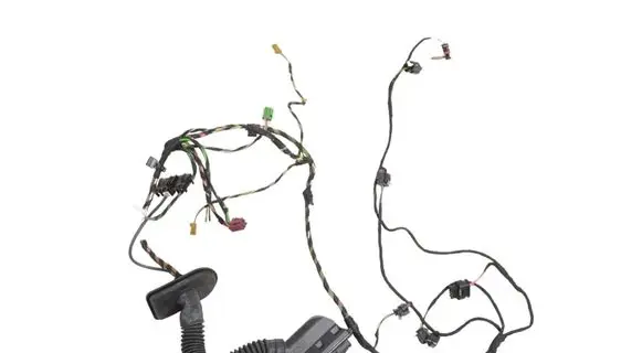 BMW 6 G32 Gran Turismo Front door wiring loom 