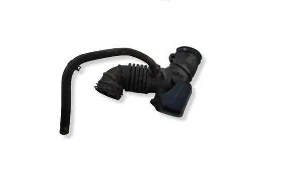 Hyundai i20 (PB PBT) Air intake hose/pipe 281381J000