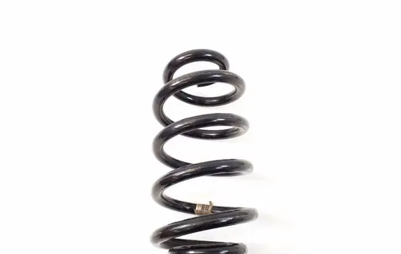 Rear coil spring