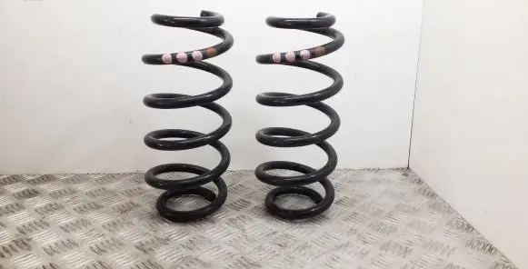 Front coil spring