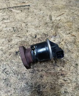 EGR valve