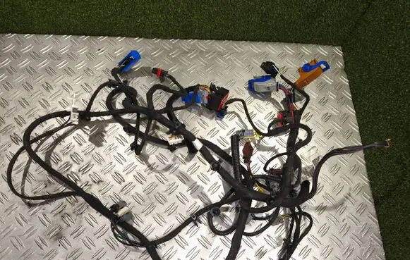 Other wiring loom
