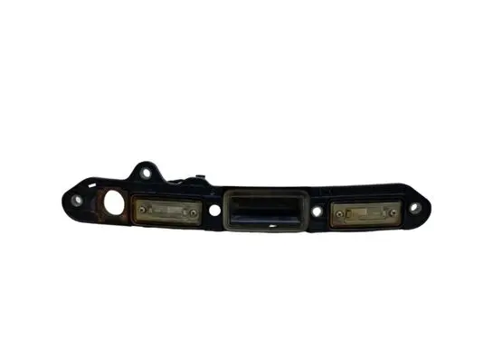 Trunk door license plate light bar