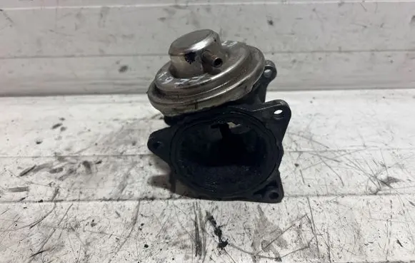 Audi A6 S6 C6 4F EGR valve 038131501AF 26650909