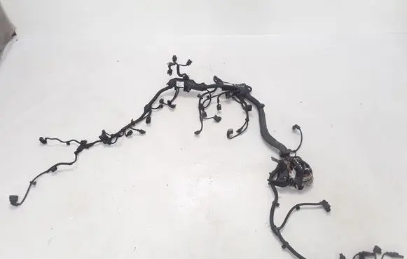 Engine installation wiring loom
