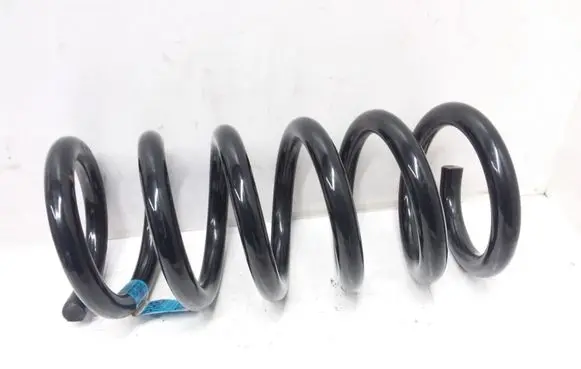 Ford Mustang VI Rear coil spring FR3C5560BC