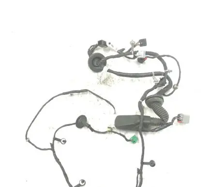 Chevrolet Camaro Front door wiring loom 1GA1248142