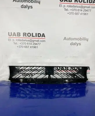 Cupra Formentor Front bumper lower grill 5FF853667A