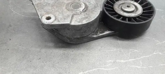 Peugeot 406 Timing belt tensioner 