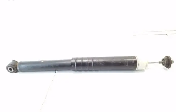 Renault Zoe Rear shock absorber/damper 562102552R