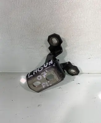 Renault Laguna III Front door lower hinge 