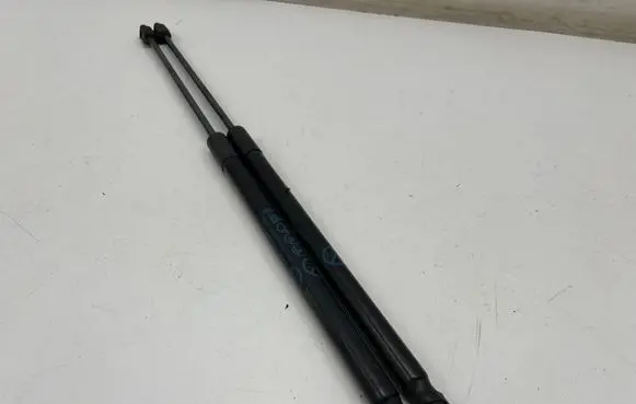Tailgate strut