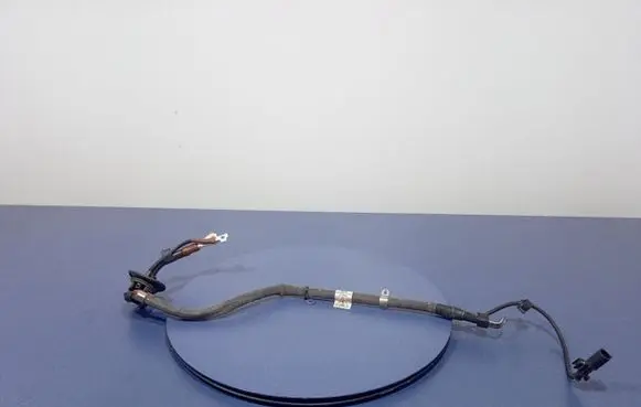 Porsche Panamera (970) Other wiring loom 971971054H