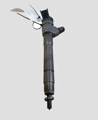 Renault Trafic III (X82) Fuel injector 0445110546 HMLGT1205R
