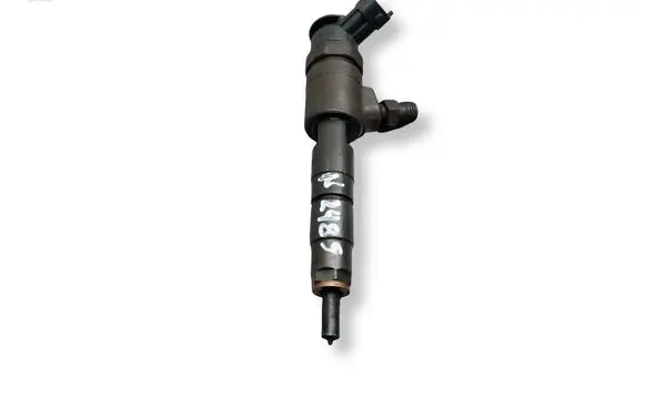 Citroen Berlingo Fuel injector 0445110340