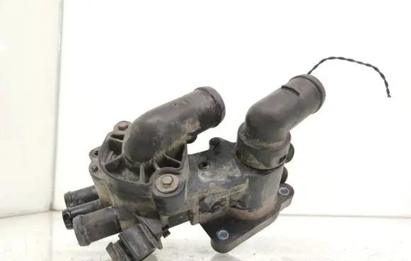Thermostat/thermostat housing