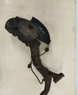 Volkswagen PASSAT B5.5 Front wheel hub spindle knuckle