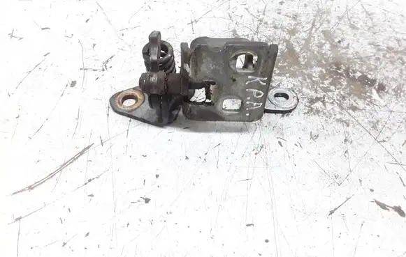 Chrysler Sebring (JS) Front door lower hinge 