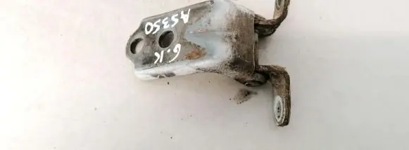 Rear door lower hinge