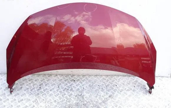 Engine bonnet/hood