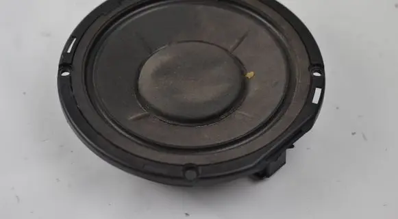 Front door speaker