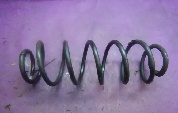 Ford Fusion Rear coil spring