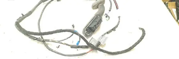 Front door wiring loom