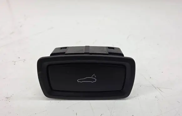 Porsche Cayenne (92A) Tailgate/trunk/boot open switch 7PP959832H