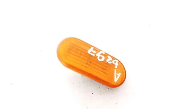 Front fender indicator light