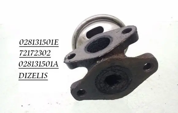 Seat Toledo II (1M) EGR valve 028131501E 028131501A