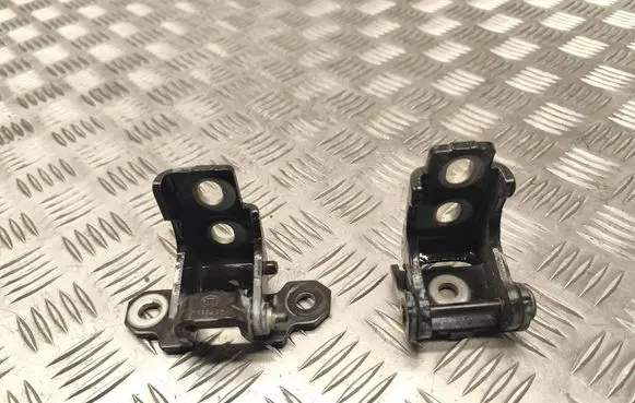 Renault Megane III Rear door hinge set 